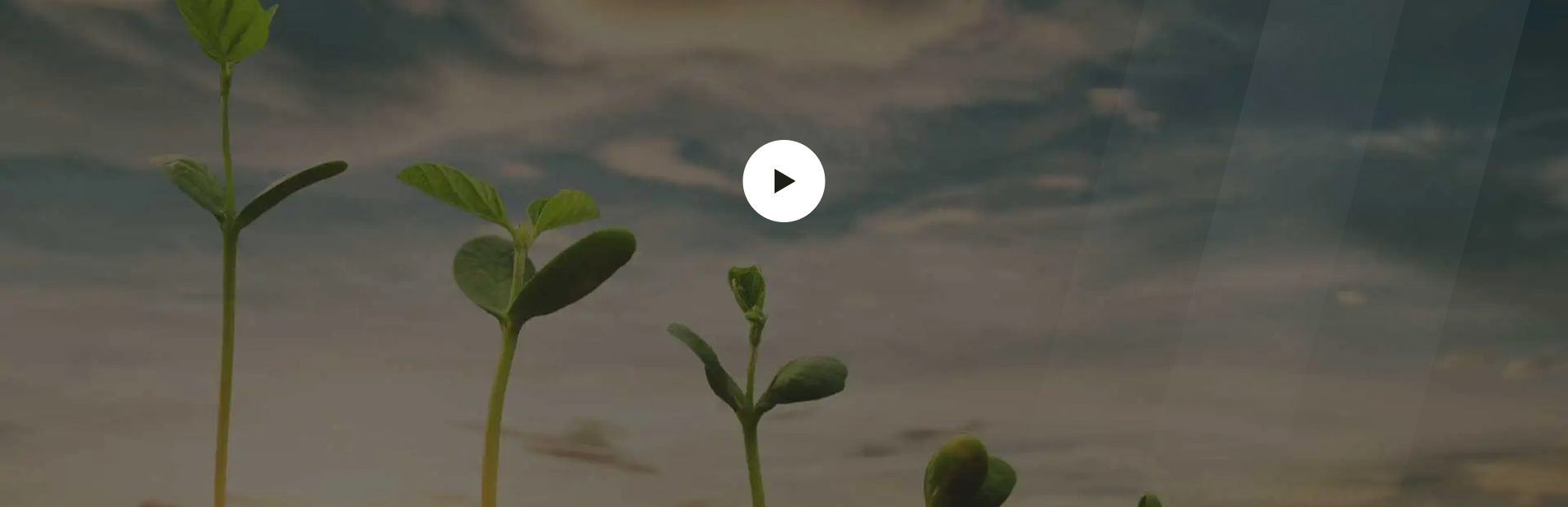Fields and farming operations